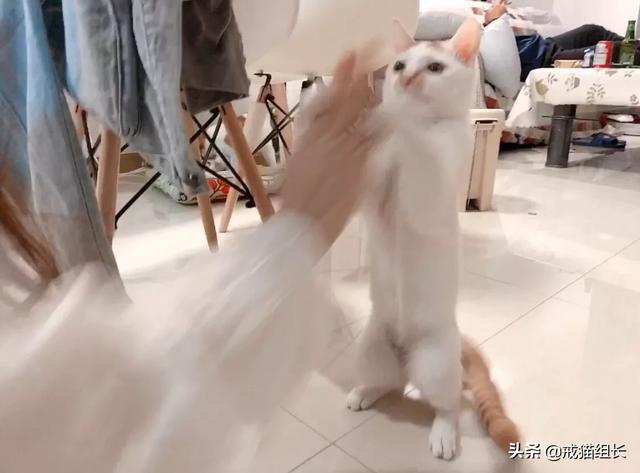 塑料制品什么材質(zhì)好？