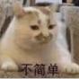 德陽中硅耐熱球鐵棒具體的用途