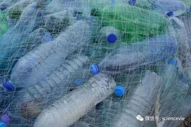 國外處理廢紙的方法